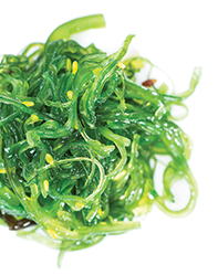 Nutridyn Fruits and Greens Kelp