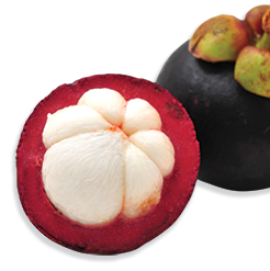 Nutridyn Fruits and Greens Mangosteen