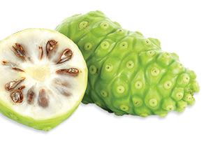 Nutridyn Fruits and Greens Noni
