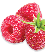 Nutridyn Fruits and Greens Raspberries