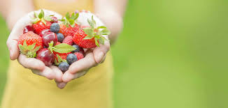 healthy diet berries image