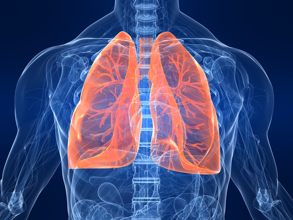 N-Acetyl Cysteine Supports Lung Function