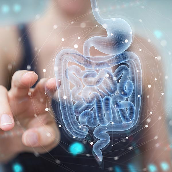 Microbiome Testing: A Guide to Turning Your Guts Inside Out