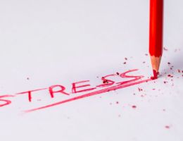 Supplements to reduce cortisol are a holistic approach to stress management